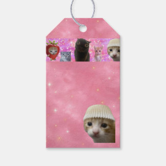 gnistrande eterisk meme katt gavgiv presentetikett