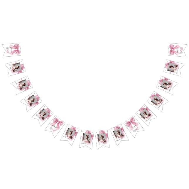 Gnistrande Rosa Coquette Slöja 1:a Vimplar (Alla)