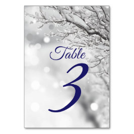 Gnistrande vinter snö & is bröllop bordsnummer