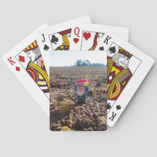 Gnome Casinokort