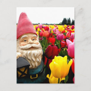 Gnome Petals Vykort