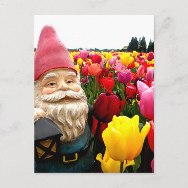 Gnome Petals Vykort (Framsida)