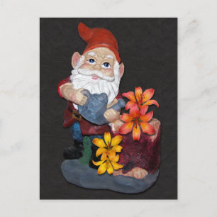 Gnome Photo Design Vykort