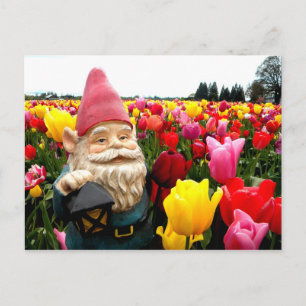 GnomePetals Vykort