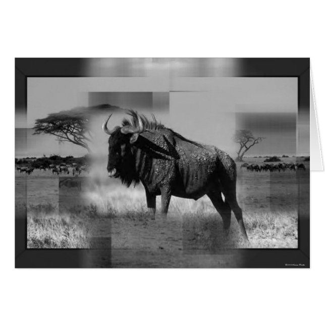 Gnu-kort Hälsningskort (Framsidan Horizontal)