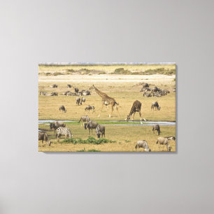 Gnu, zebror och giraffer canvastryck