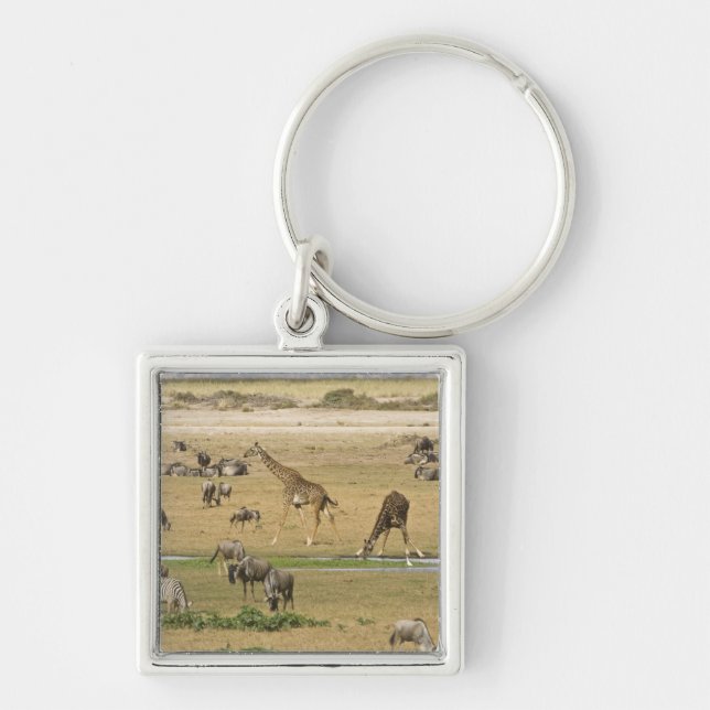 Gnu, zebror och giraffer fyrkantig silverfärgad nyckelring (Framsidan)
