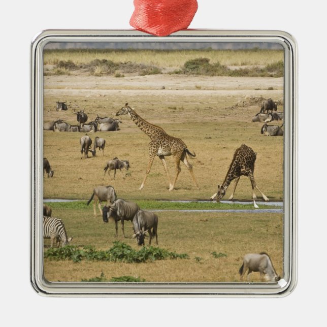 Gnu, zebror och giraffer julgransprydnad metall (Framsidan)