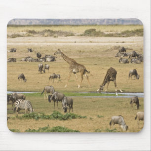 Gnu, zebror och giraffer musmatta
