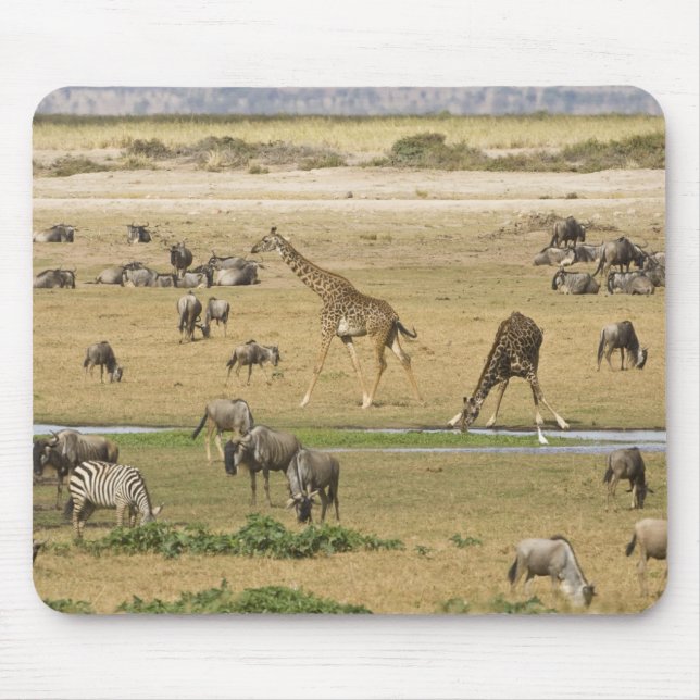 Gnu, zebror och giraffer musmatta (Framsidan)