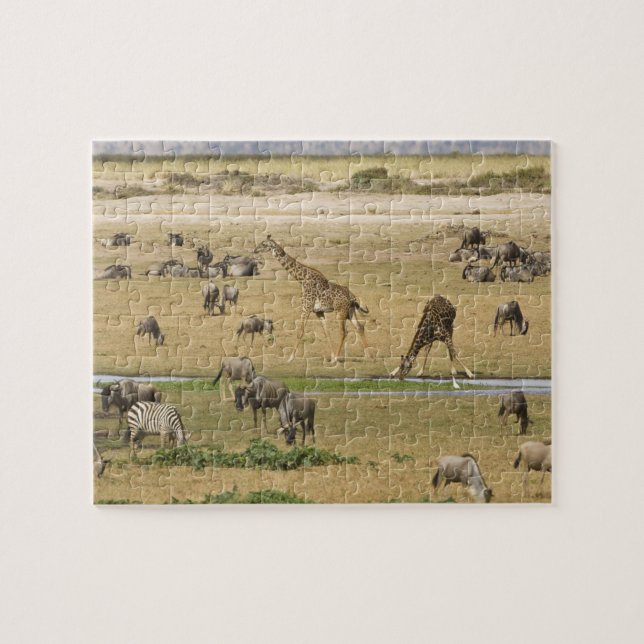 Gnu, zebror och giraffer pussel (Horisontell)