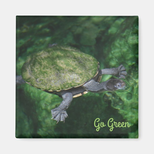 Go Green Turtle Magnet (Framsidan)