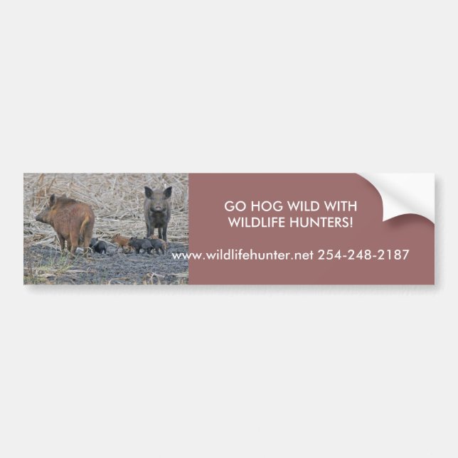 , GO HOG WILD WITHWI... BILDEKAL (Framsidan)