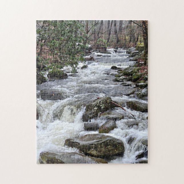 Go With The Flow Puzzle, 11" x 14", 252 pieces Pussel (Vertikal)