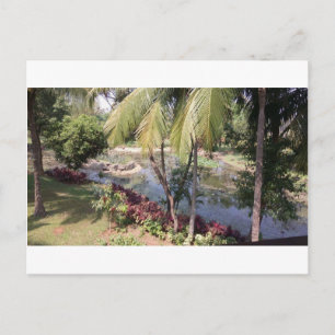 Goa India Garden Vykort