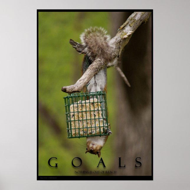 GOALS inspirationskänslig Poster Skriv ut (Framsidan)