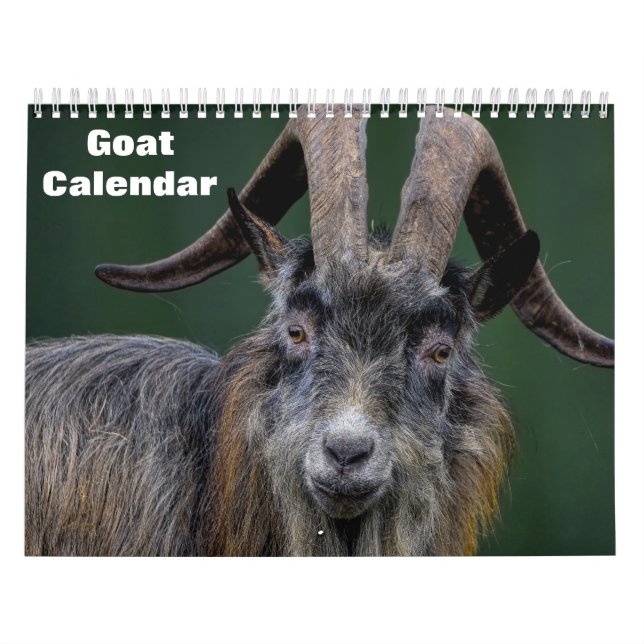 Goat 2025 kalender (Omslag)