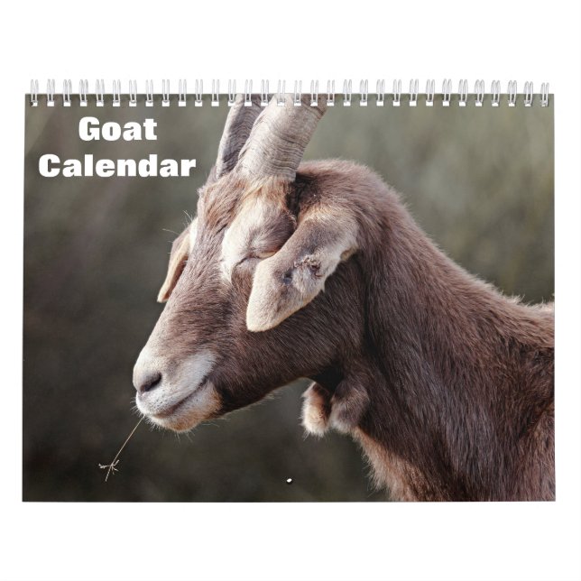 Goat 2026 kalender (Omslag)