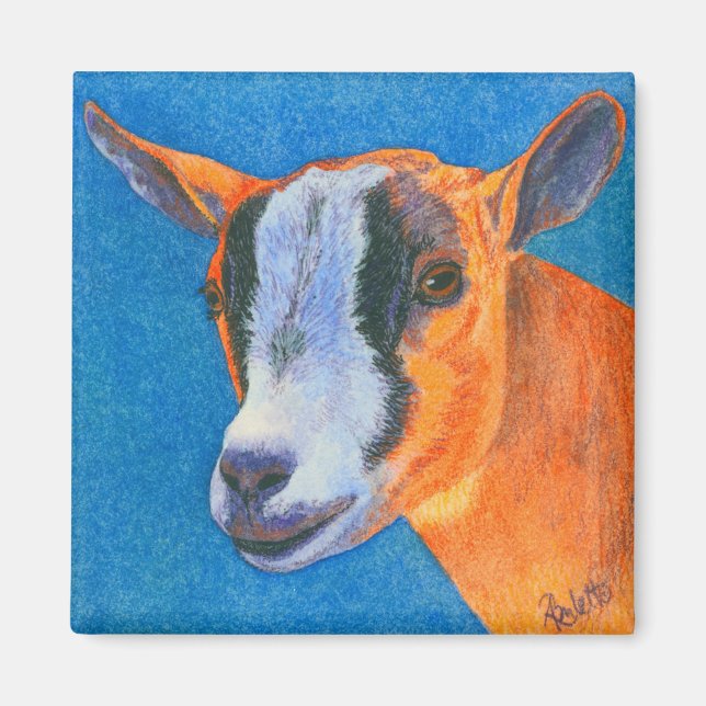 Goat #2 Magnet - Pygmy Goat (Framsidan)