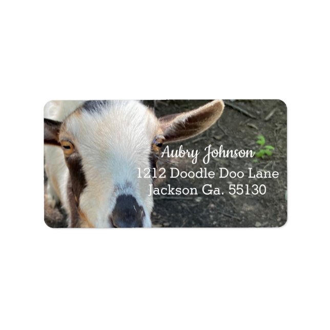 Goat Adressetikett (Framsidan)