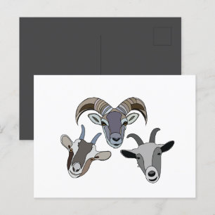 Goat Animal Funny Goat Vykort