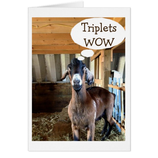 GOAT ÄR SÅ EXCITERAT=TRIPLETS=TRIPLEKÄRLEK HÄLSNINGSKORT (Framsidan)