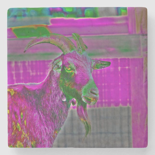 Goat Art Stenunderlägg (Framsidan)