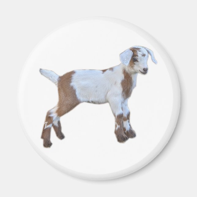 Goat baby magnet (Framsidan)