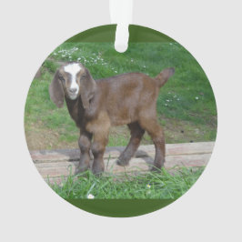 Goat baby ornament 2 bilder