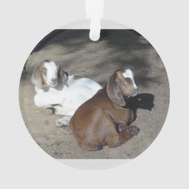 Goat baby ornament 2 bilder