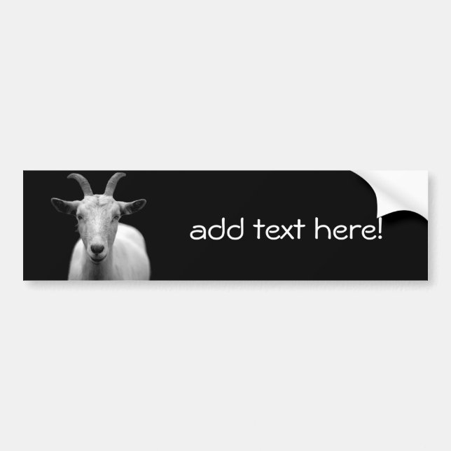 Goat Bildekal (Framsidan)