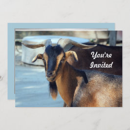 Goat Black Brown Animal Photo Birthday Inbjudningar