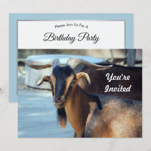 Goat Black Brown Animal Photo Birthday Inbjudningar