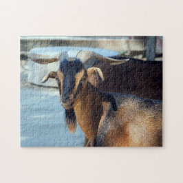 Goat Black Brown Animal Photo Pussel