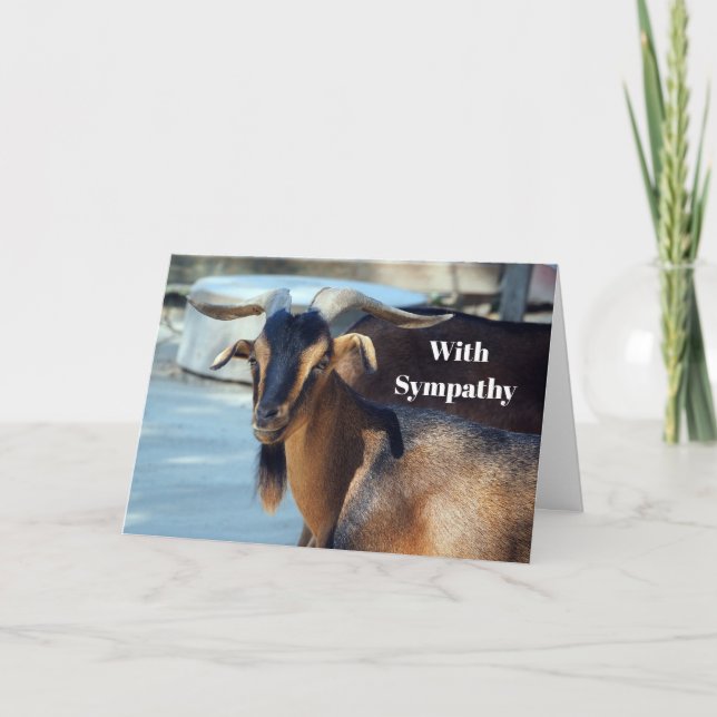 Goat Black Brown Animal Photo Sympathy Kort (Framsida)