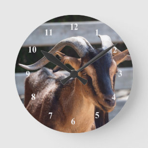 Goat Black Brown Horns Animal Photo Rund Klocka
