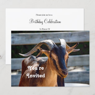 Goat Black Brown Horns Djurfoto Birthday Inbjudningar