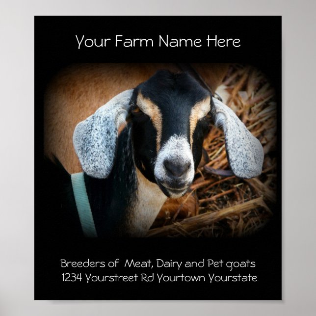 Goat Breeder Business Poster (Framsidan)