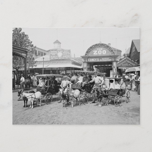 Goat Carriages at Coney Island, 1910 Vykort (Framsida)