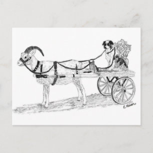 Goat Cart med Shepherd Hund and Flowers Vykort