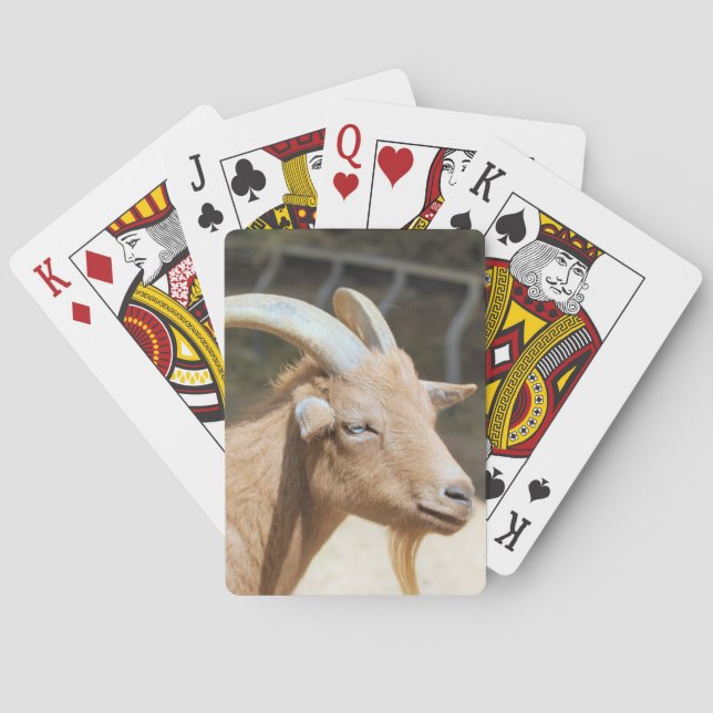 Goat Casinokort (Baksidan)