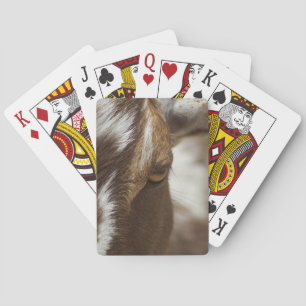 Goat Casinokort