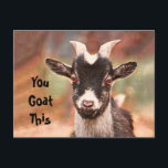 Goat Cute Funny Du får det här Vykort<br><div class="desc">Cute,  lustigt vykort för gris. Djurgafflar på gården Barnyard land. Du får den här läsningen på framsidan och kan anpassas. Upphovsrätt Marg Seregelyi Fotography.</div>