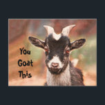Goat Cute Funny Du får det här Vykort<br><div class="desc">Cute,  lustigt vykort för gris. Djurgafflar på gården Barnyard land. Du får den här läsningen på framsidan och kan anpassas. Upphovsrätt Marg Seregelyi Fotography.</div>