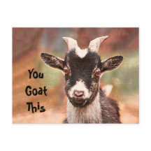 Goat Cute Funny Du får det här
