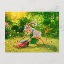 Goat Destroys Garden med Lawnmower