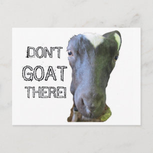 Goat "FÅR INTE DÄR" vykort