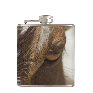 Goat Fickplunta