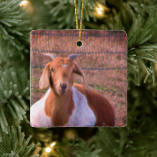 Goat Foto Julgransprydnad Keramik