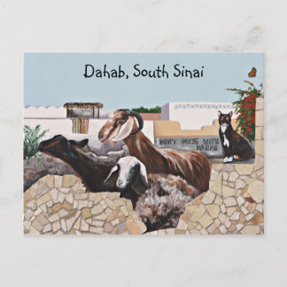 Goat Hälsning III Vykort